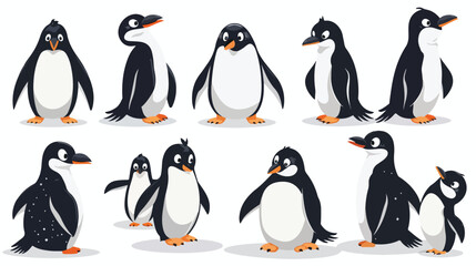 Collection of cartoon penguin isolated on white background - obrazy, fototapety, plakaty