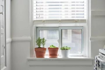 Fotobehang Kitchen herbs on window ledge in pots © Cavan
