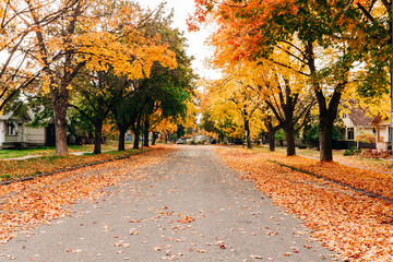 Fototapeta na wymiar Residential fall street scene with leaves on the ground