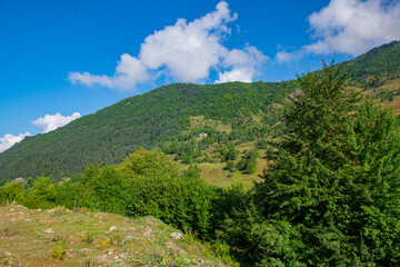 Fototapeta na wymiar Blissful Altitude: Blue Skies Uniting with the Green Mountain Peaks