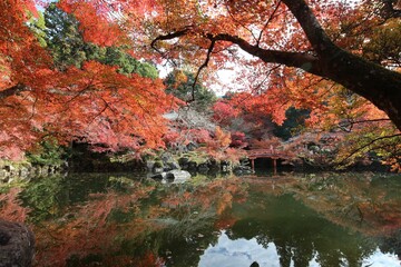 Benten-ike Pond and autumn leaves in Daigoji Temple, Kyoto, Japan