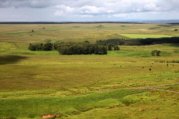 Fototapeta premium Along the Hadrian's wall between Twice Brewed and Chollerford - Northumberland - England - UK