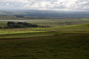 Fototapeta premium Along the Hadrian's wall between Twice Brewed and Chollerford - Northumberland - England - UK