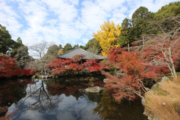 Fototapeta na wymiar Kannon-do, Benten-ike Pond and autumn leaves in Daigoji Temple, Kyoto, Japan