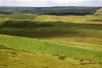 Along the Hadrian's wall between Twice Brewed and Chollerford - Northumberland - England - UK