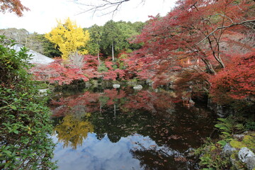 Benten-ike Pond and autumn leaves in Daigoji Temple, Kyoto, Japan