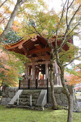 Autumn leaves in Daigoji Temple, Kyoto, Japan