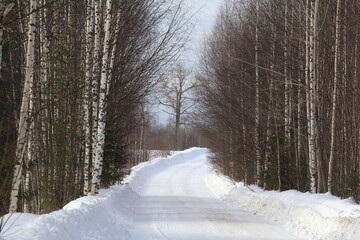 dirt roads of northeastern Europe in mid-March