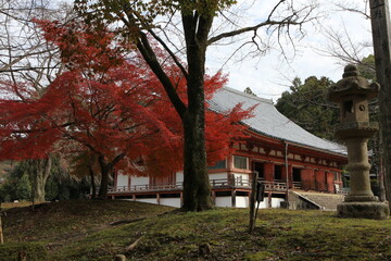 Kondo Hall and autumn leaves in Daigoji Temple, Kyoto, Japan