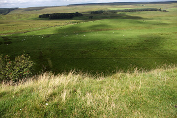 Along the Hadrian's wall between Twice Brewed and Chollerford - Northumberland - England - UK