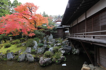 Japanese garden and autumn leaves in Daigoji Temple Sanbo-in, Kyoto, Japan