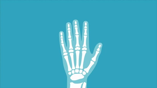 human hand with internal bone move