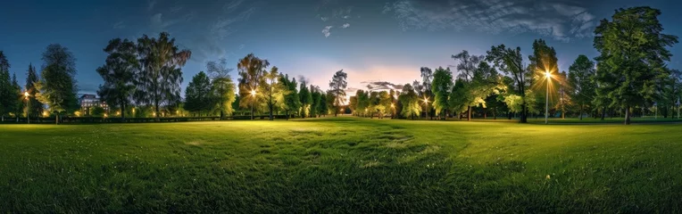 Fotobehang Grassy Field With Trees © BrandwayArt