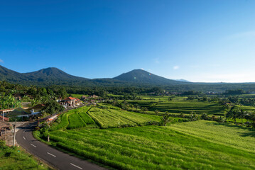 Green rice terraces with road and buildings