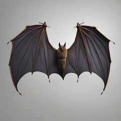 bat wings isolated on a transparent background colorful background