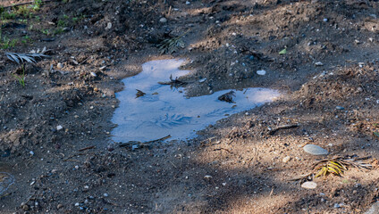 Puddle on the muddy ground after rain.