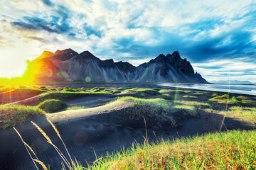 Dramatic sunny day and gorgeous rippled black sand beach and green grass on Stokksnes cape in Iceland. - obrazy, fototapety, plakaty