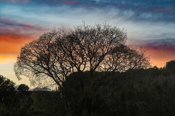 Fototapeta premium sunset on a cloudy day