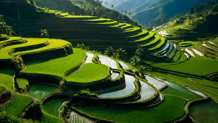 Zelfklevend Fotobehang aerial view of green rice field terraces with clean sky and rural vibes © HeyKun