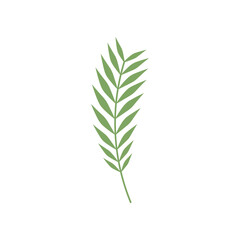 Tropical Leaves