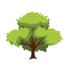 Forest or park tree vector illustration in cartoon style
