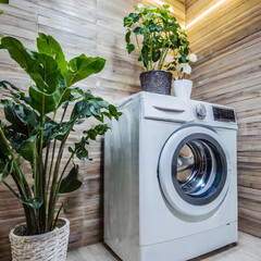 Modern washing machine in White laundry. Bathroom interior with plants. Laundry room interior with washing machine