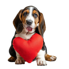 Beagle Puppy Holding Heart Shaped Pillow