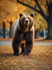 portrait of brown bear on outdoor park in city at autumn with trees on background looking at camera from Generative AI