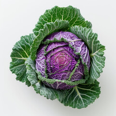 Obraz premium cabbage isolated on white