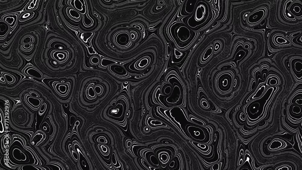 Poster Animated wavy line motion graphic background. Seamless looped Abstract motion graphic, Abstract moving topographic map lines. Moving wavy line striped