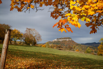 autumn view to the fortress of Koenigsstein - 771293367