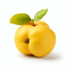 Quince isolated on white background