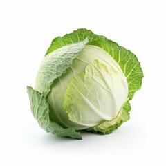 Fototapeta premium White cabbage isolated on white background