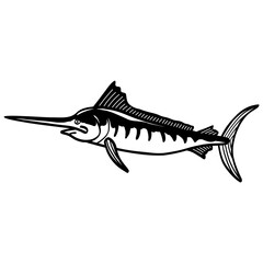Marlin Fish Drawing Black and White Vector Illustration