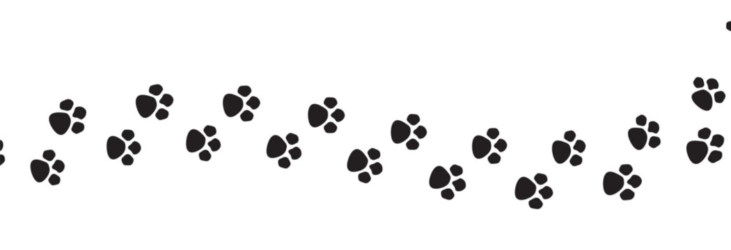 Paw vector foot trail print of cat. Dog, puppy silhouette animal diagonal tracks for t-shirts, backgrounds, patterns, websites, showcases design, greeting cards, child prints and etc. Paw Vector.