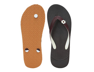 womens eva flip-flop isolated on white background