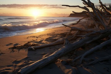 a beach with driftwood, with the sun setting in the distance, the driftwood scattered along the shore, and the sand glimmering in the light - obrazy, fototapety, plakaty