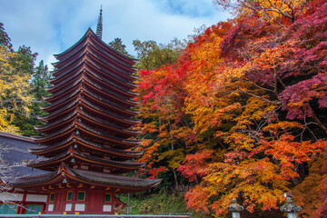 奈良　談山神社　十三重塔と紅葉 2