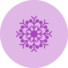 Snowflake Vector Icon