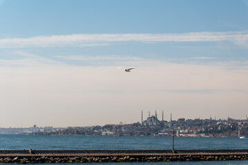 Fototapeta na wymiar High-resolution close-up photograph of a seagull in flight over Istanbul's Bosphorus, with the iconic silhouette of Hagia Sophia and Istanbul's skyline in the background. Captures detailed bird.