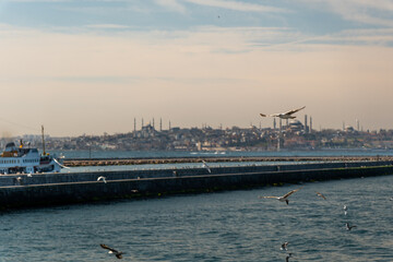 High-resolution close-up photograph of a seagull in flight over Istanbul's Bosphorus, with the iconic silhouette of Hagia Sophia and Istanbul's skyline in the background. 2024