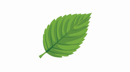 Leaf vector icon Flat vector isolated on white background