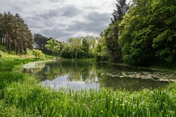 Fototapeta na wymiar Calm lake surrounded by lush green vegetation