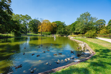 Lake at Krasinski Palace Gardens - Warsaw, Poland - obrazy, fototapety, plakaty