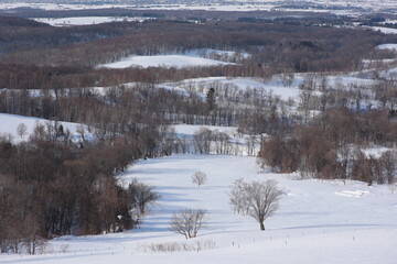 穏やかな朝の高原トレッキングで出会った冬の景観