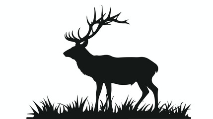Silhouette deer with great antler on white background