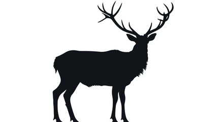 Silhouette deer with great antler on white background