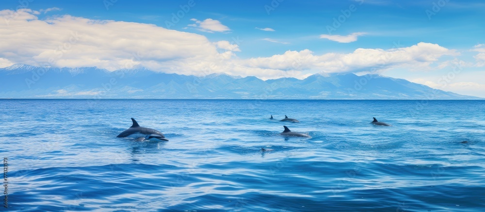 Poster a group of dolphins gracefully gliding through the ocean waters with majestic mountains in the dista