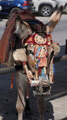 Donkey in Mijas, Malaga, Spain - 771323788