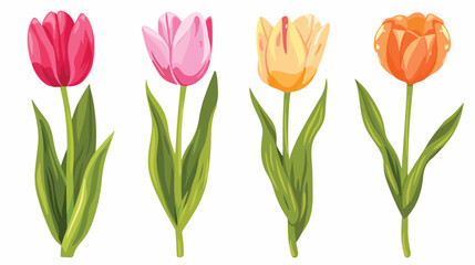 Tulip flower cartoon Flat vector isolated on white background